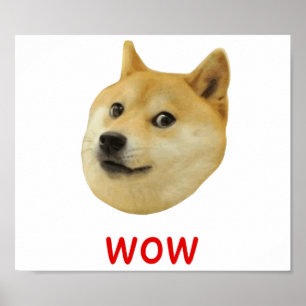 För Doge wow mycket mycket hund sådan Shiba Shib Poster
