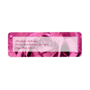 För elegant rosa ros flickaktigt returadress etikett