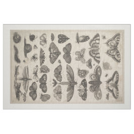 För entomologiLepidoptera för vintage insekter Tyg