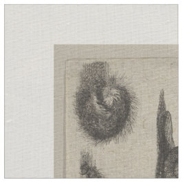 För entomologiLepidoptera för vintage insekter Tyg