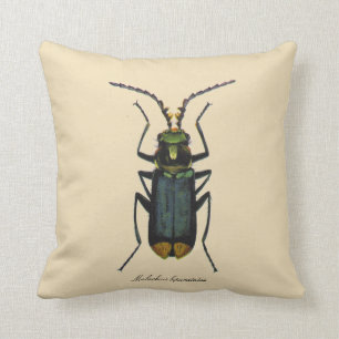 För entomologiMalachite för vintage insekter Kudde