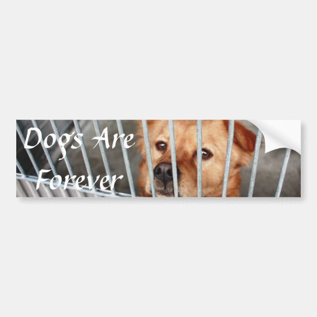 För evigt bildekal (Framsidan)