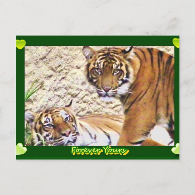 För evigt din_ vykort (Framsida)