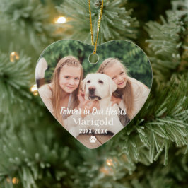 För evigt i våra hjärtan Husdjur Minnesfoto Minne Julgransprydnad Keramik