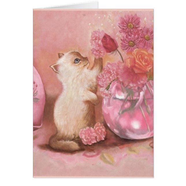 För evigtkattunge hälsningskort (Framsidan)