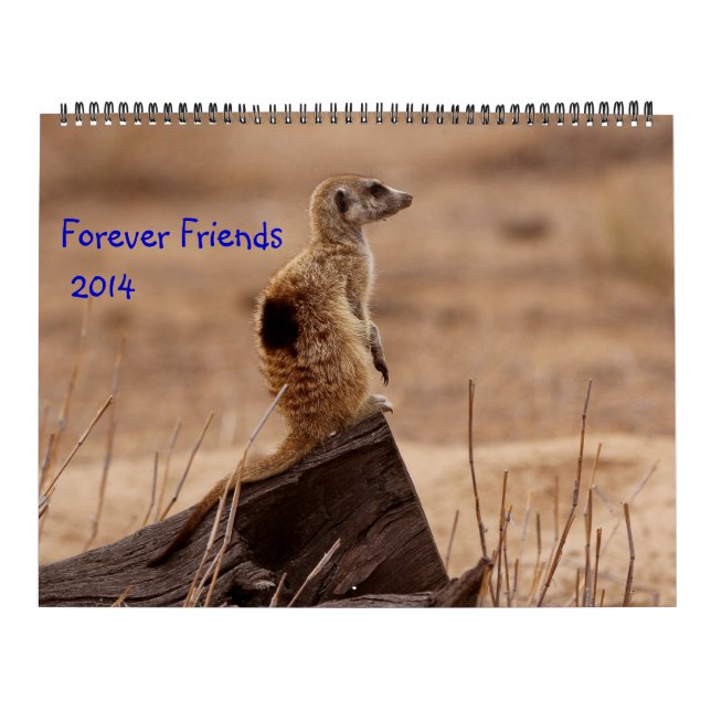För evigtvänner - kalender för FKMP 2014 (Omslag)