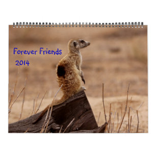 För evigtvänner - kalender för FKMP 2014
