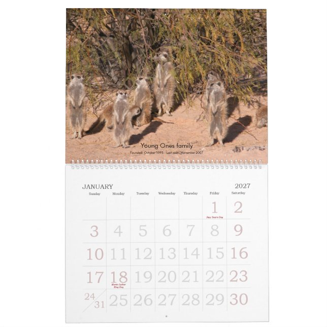 För evigtvänner - Meerkat kalender (Jan 2027)