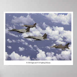 För F--15Dörn- och stridighet F-16 falkar Poster