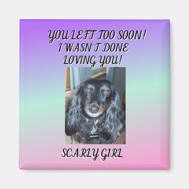 För färdigt: hyllning till foto Päls Baby 1 Magnet (Framsidan)