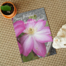 För farmors Rosa Clematis Blommigt Birthday