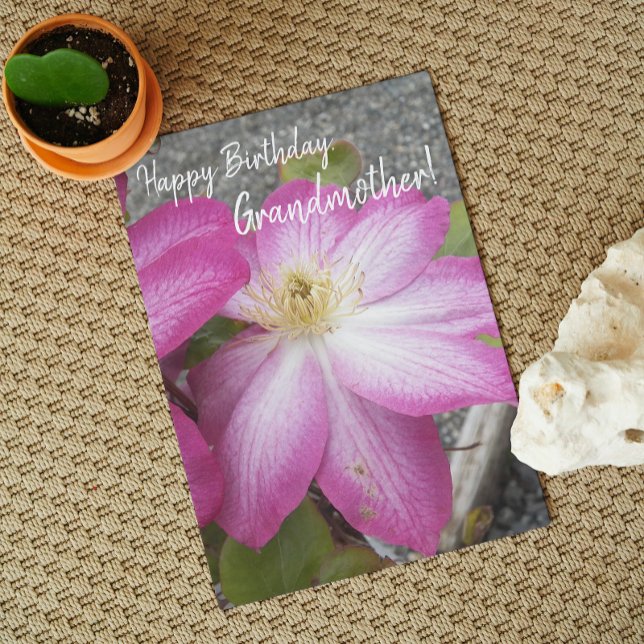 För farmors Rosa Clematis Blommigt Birthday Kort (In Situ)