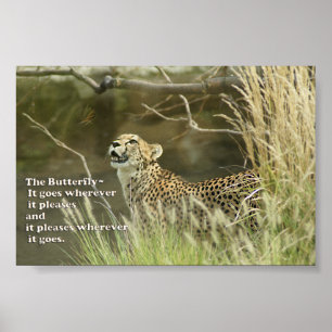 FÖR FJÄRILSAFFISCH FÖR CHEETAH HÅLLANDE ÖGONE POSTER