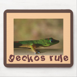 För fläktar av Geckos Musmatta