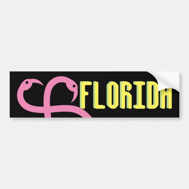 För Florida för bildekalvisuellt hjälpmedel roliga Bildekal (Framsidan)