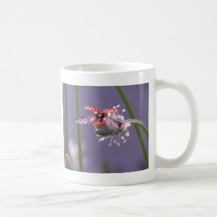 För fluga hem bort kaffemugg