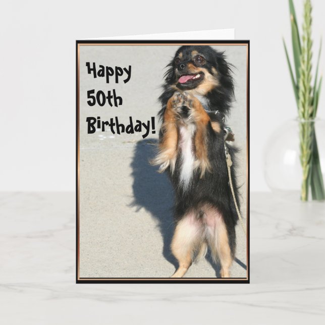 För födelsedagChihuahua för lycklig 50th kort för (Framsida)