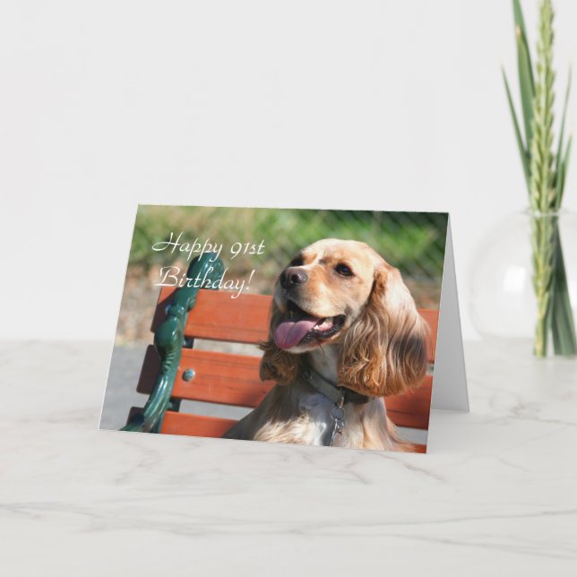 För födelsedagcockerspaniel för lycklig 91st kort (Framsida)
