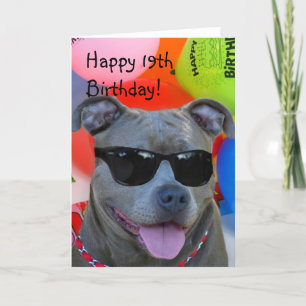 För födelsedagPitbull för lycklig 19th kort