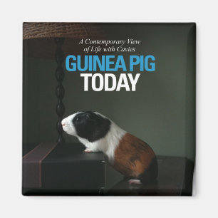 För försökskanin fotomagnet i dag magnet