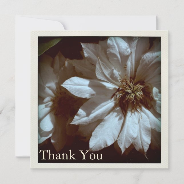 För fotografitack S för Clematis blom- kort för (Framsida)