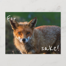 För Fox Skull Vykort