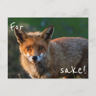 För Fox Skull Vykort