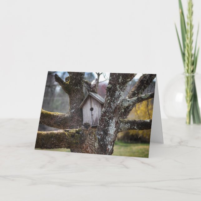 För Framable för Birdhouse 4219 kort greetibg (Framsida)
