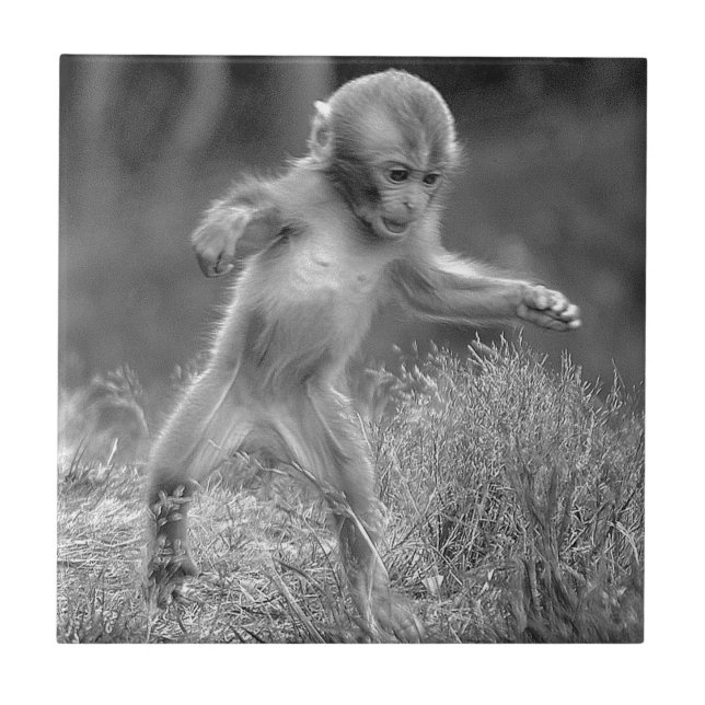 För funky apa lite kakelplatta (Framsidan)