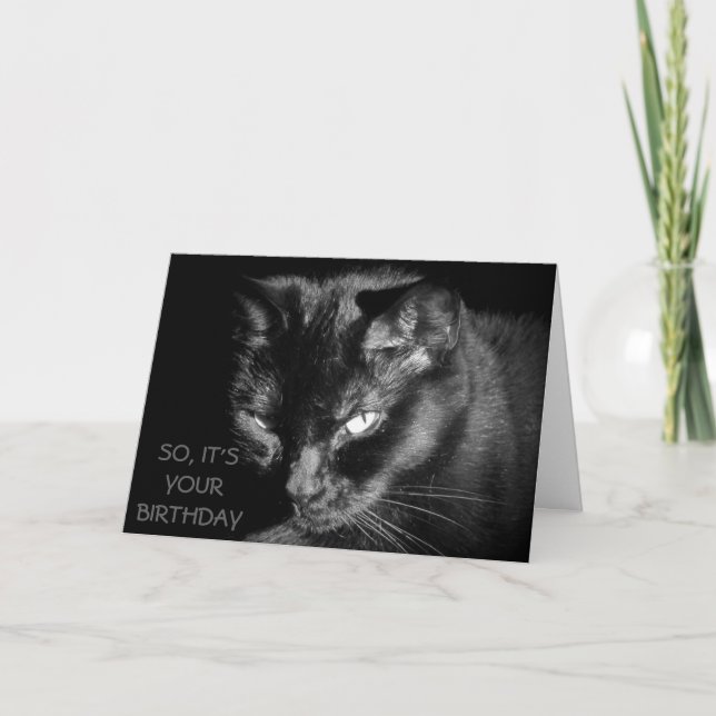 För gammalt att mata katten? kort (Framsida)