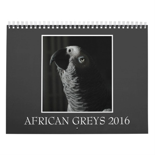 För grå färgpapegoja för Kongofloden afrikansk Kalender (Omslag)