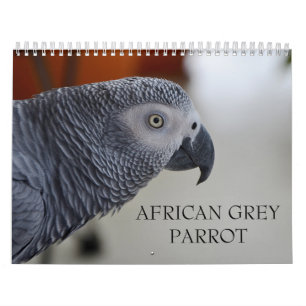 För grå färgpapegoja för Kongofloden afrikansk Kalender