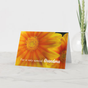 För Grandma Birthday Gazania Flowers Kort