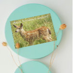 För Grandson Hjort Fawn Wildlife Birthday Kort<br><div class="desc">Klokhetens ord följer med den här typen av födelsedagskort för en ung sonson och visar fotobilden av en söt,  liten baby hjort-fawn. Markera kortet avsluta stil.</div>
