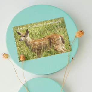 För Grandson Hjort Fawn Wildlife Birthday Kort