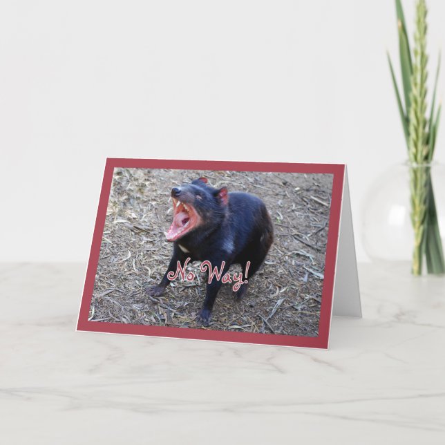 För grattis på födelsedagenhälsning för Tasmanian Kort (Framsida)