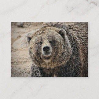 För Grizzlybjörn för gullig vild djurt ansikte Visitkort