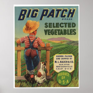 För grönsakfrukt för vintage gammala etiketter för poster