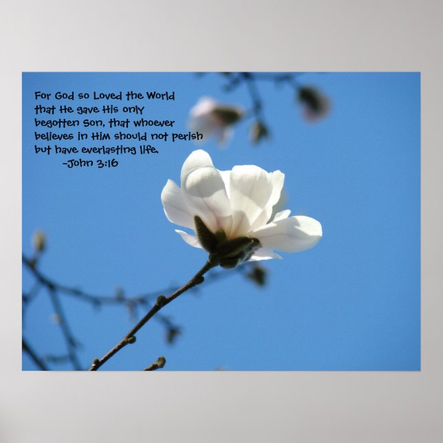 För Gud så älskade världen John 3:16 konsttryck Poster (Framsidan)