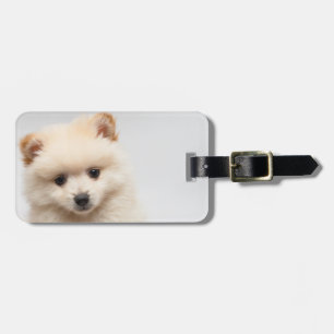 För gulliga Pomeranian Bagagebricka