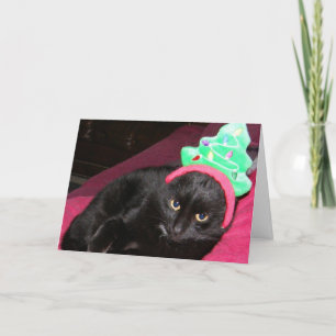 För helgdagkort för svart katt rolig Bah Humbug Helgkort