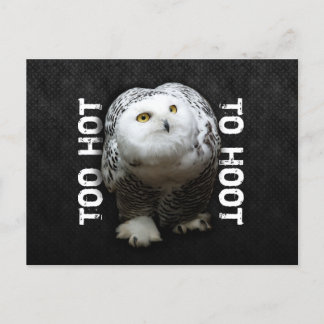 För Hett till Hoot Vykort