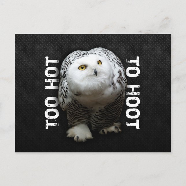 För Hett till Hoot Vykort (Framsida)