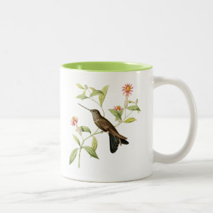 för hummingbirdvild för vintage botanisk mugg f