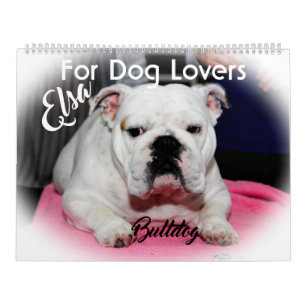 FÖR HUNDÄLSKARE 2020 KALENDER