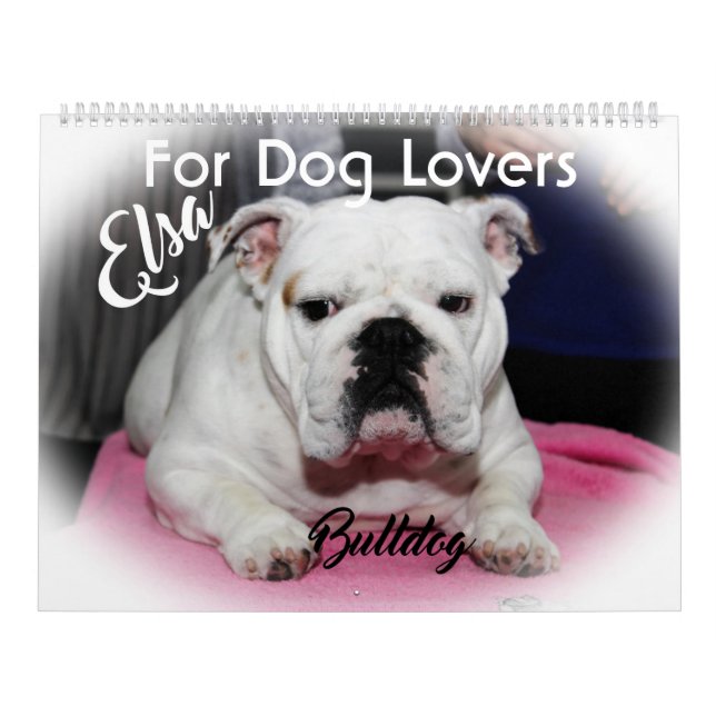 FÖR HUNDÄLSKARE 2020 KALENDER (Omslag)