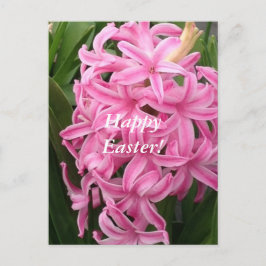 För hyacintblomma för glad påsk rosa vykort