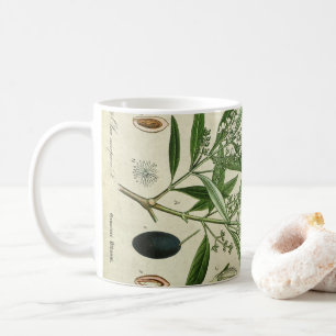 För illustrationkaffe för olivgrön växt botani kaffemugg