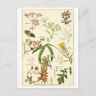 För illustrationvykort för vintage vist kort för