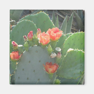 För kaktusgrönt för Prickly Pear röd blom Magnet